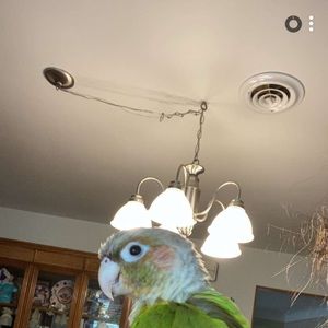 Meet your Posher, Keira